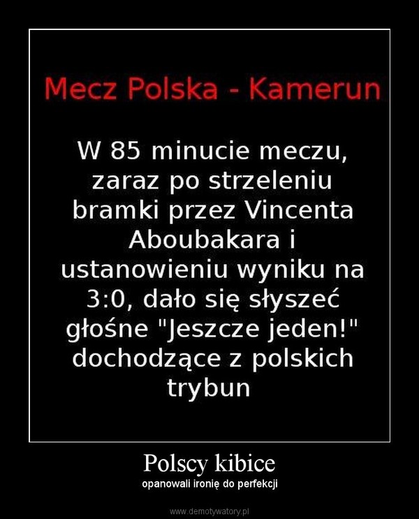 Polscy kibice – opanowali ironię do perfekcji 
