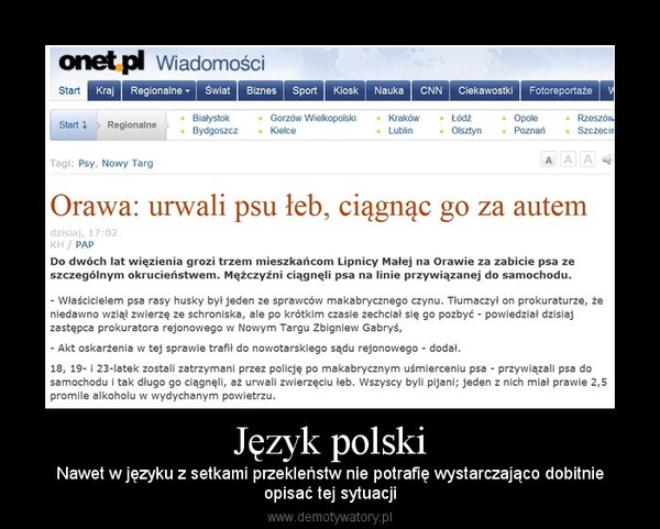 Język polski – Nawet w języku z setkami przekleństw nie potrafię wystarczająco dobitnieopisać tej sytuacji 