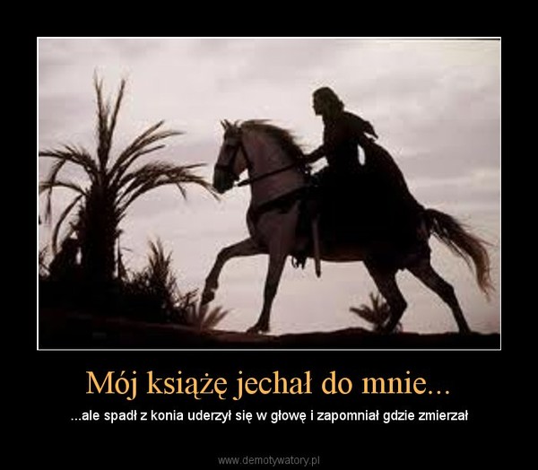 Mój książę jechał do mnie... – ...ale spadł z konia uderzył się w głowę i zapomniał gdzie zmierzał 
