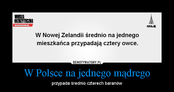 W Polsce na jednego mądrego – przypada średnio czterech baranów 