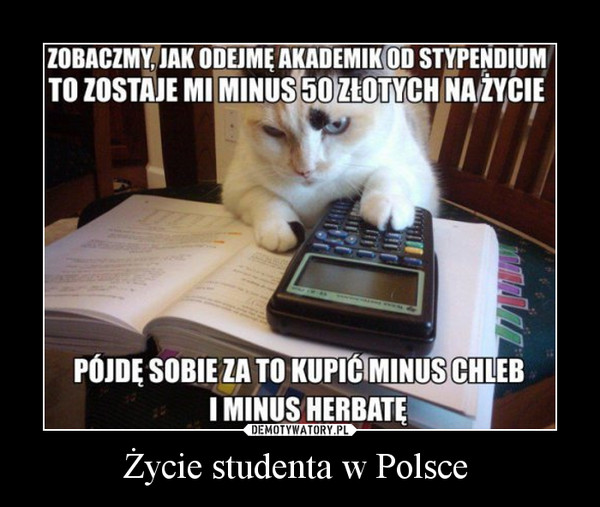 Życie studenta w Polsce 