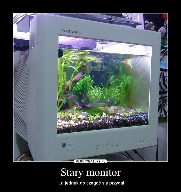 Stary monitor – ...a jednak do czegoś się przydał 