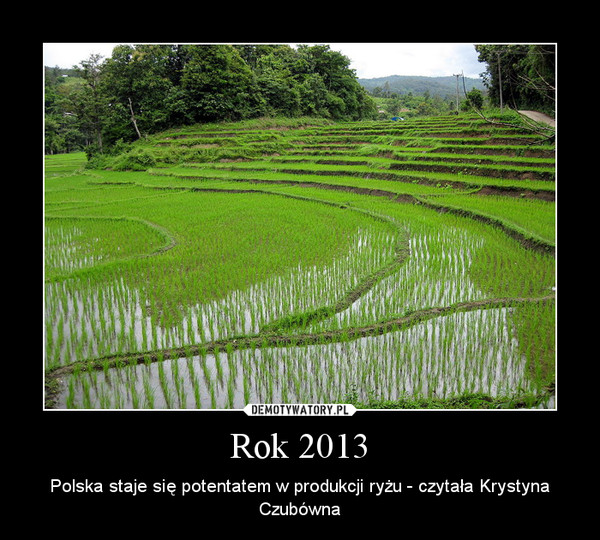 Rok 2013 – Polska staje się potentatem w produkcji ryżu - czytała Krystyna Czubówna 