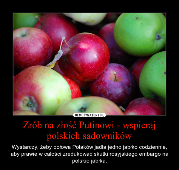 Zrób na złość Putinowi - wspieraj polskich sadowników – Wystarczy, żeby połowa Polaków jadła jedno jabłko codziennie, aby prawie w całości zredukować skutki rosyjskiego embargo na polskie jabłka. 
