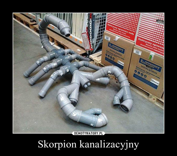 Skorpion kanalizacyjny –  
