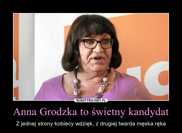 Anna Grodzka to świetny kandydat – Z jednej strony kobiecy wdzięk, z drugiej twarda męska ręka 