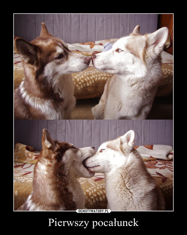 Pierwszy pocałunek –  