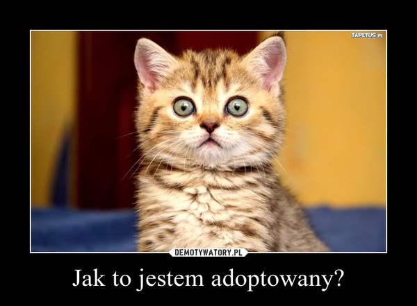 Jak to jestem adoptowany? –  