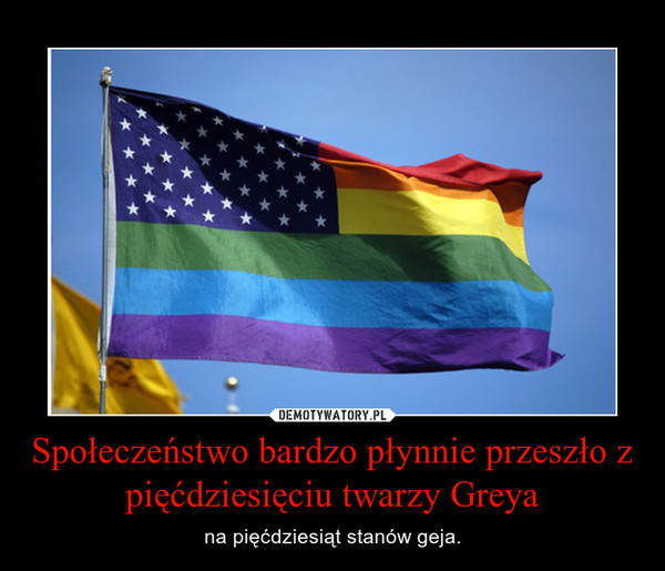 Społeczeństwo bardzo płynnie przeszło z pięćdziesięciu twarzy Greya – na pięćdziesiąt stanów geja. 