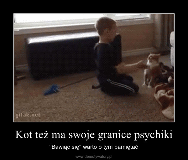 Kot też ma swoje granice psychiki – ''Bawiąc się'' warto o tym pamiętać 