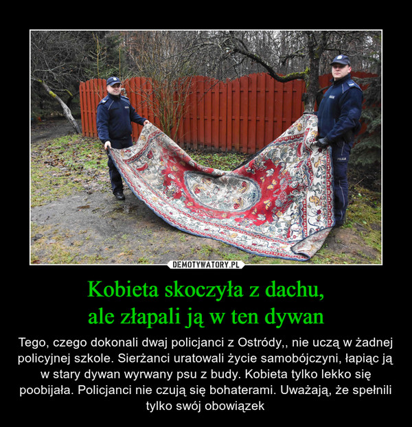 Kobieta skoczyła z dachu,ale złapali ją w ten dywan – Tego, czego dokonali dwaj policjanci z Ostródy,, nie uczą w żadnej policyjnej szkole. Sierżanci uratowali życie samobójczyni, łapiąc ją w stary dywan wyrwany psu z budy. Kobieta tylko lekko się poobijała. Policjanci nie czują się bohaterami. Uważają, że spełnili tylko swój obowiązek 