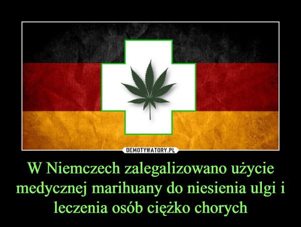 W Niemczech zalegalizowano użycie medycznej marihuany do niesienia ulgi i leczenia osób ciężko chorych –  