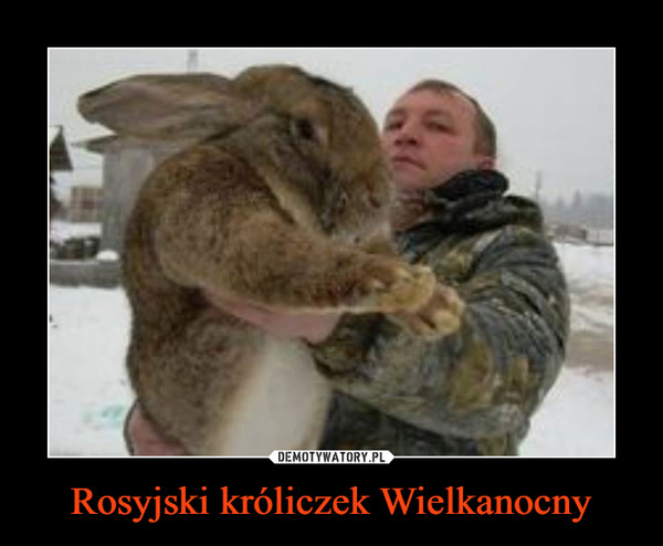 Rosyjski króliczek Wielkanocny –  