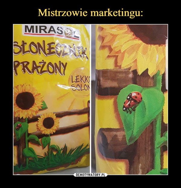  –  Mirasol Słonecznik Prażony Lekko solony