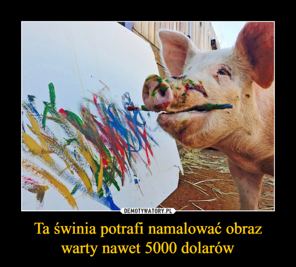 Ta świnia potrafi namalować obrazwarty nawet 5000 dolarów –  