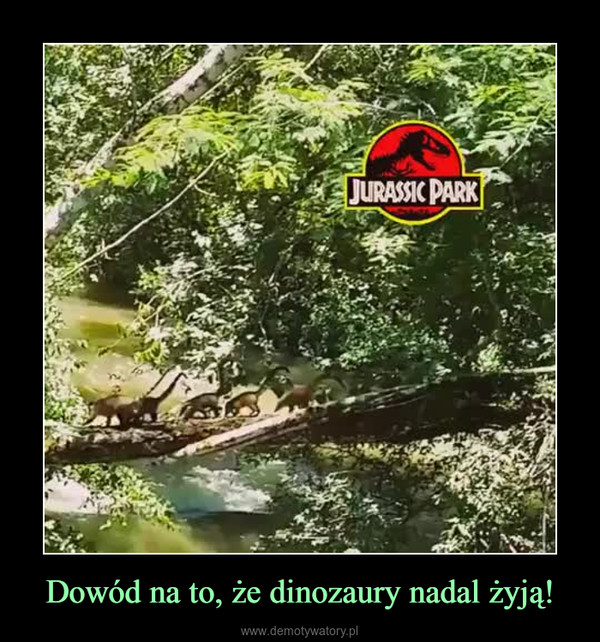 Dowód na to, że dinozaury nadal żyją! –  