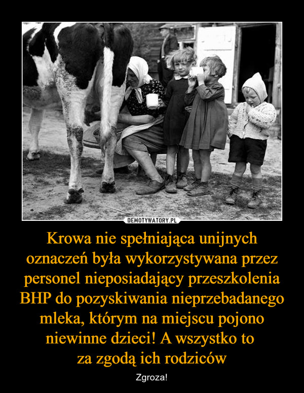 Krowa nie spełniająca unijnych oznaczeń była wykorzystywana przez personel nieposiadający przeszkolenia BHP do pozyskiwania nieprzebadanego mleka, którym na miejscu pojono niewinne dzieci! A wszystko to za zgodą ich rodziców – Zgroza! 