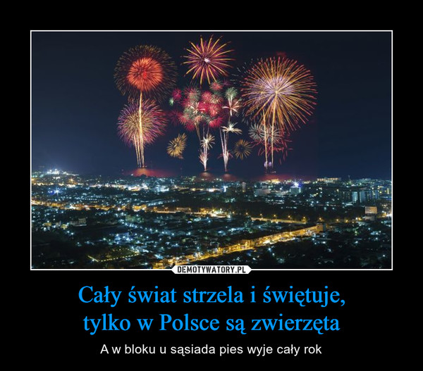 Cały świat strzela i świętuje,tylko w Polsce są zwierzęta – A w bloku u sąsiada pies wyje cały rok 