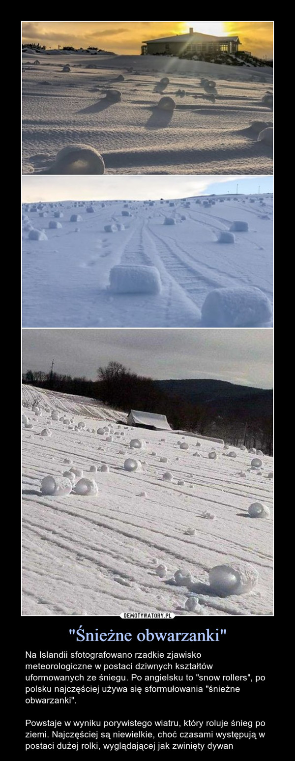 "Śnieżne obwarzanki" – Na Islandii sfotografowano rzadkie zjawisko meteorologiczne w postaci dziwnych kształtów uformowanych ze śniegu. Po angielsku to "snow rollers", po polsku najczęściej używa się sformułowania "śnieżne obwarzanki".Powstaje w wyniku porywistego wiatru, który roluje śnieg po ziemi. Najczęściej są niewielkie, choć czasami występują w postaci dużej rolki, wyglądającej jak zwinięty dywan 