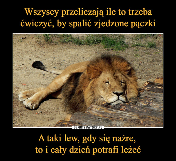 Znalezione obrazy dla zapytania dzien lwa demotywatory