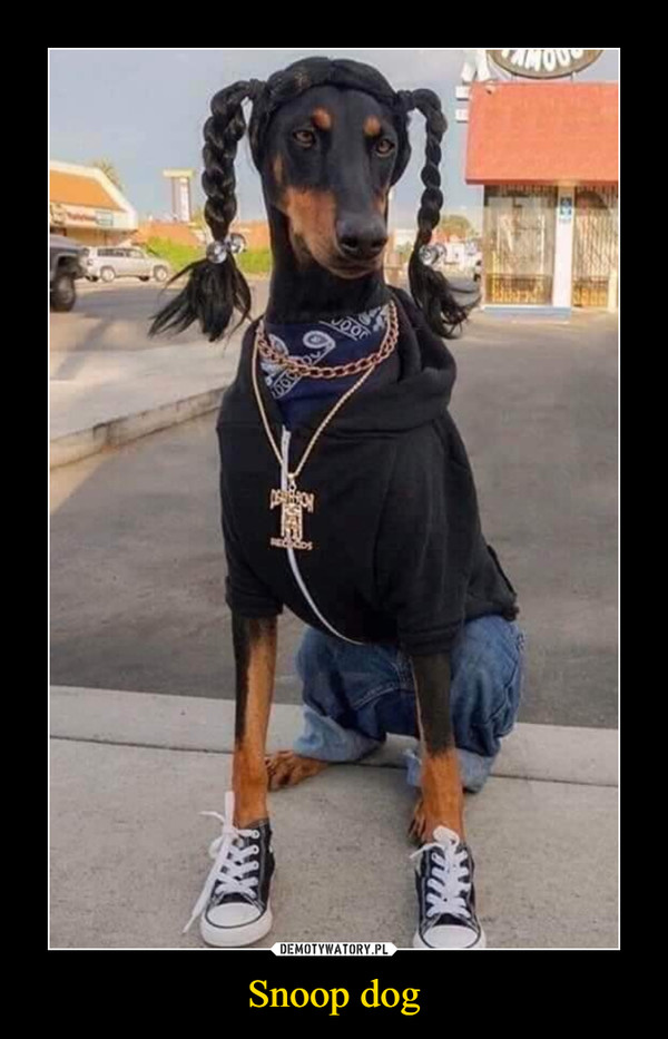 Snoop dog –  