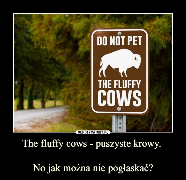 The fluffy cows - puszyste krowy. 

No jak można nie pogłaskać?