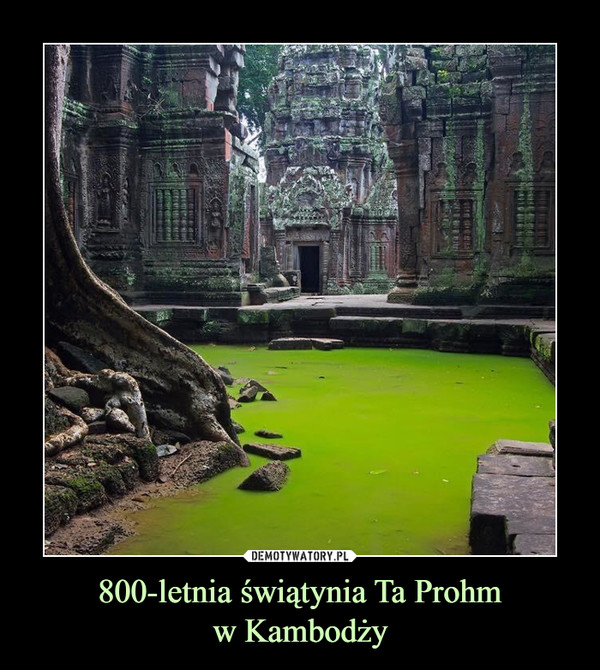 800-letnia świątynia Ta Prohmw Kambodży –  