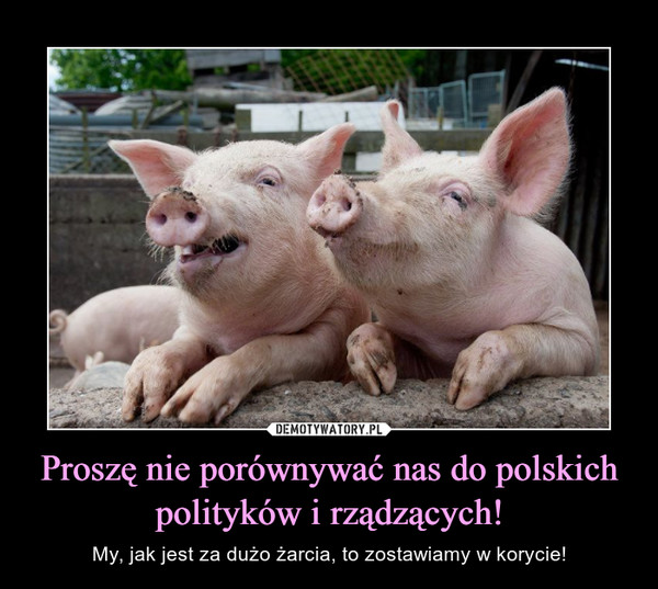 Proszę nie porównywać nas do polskich polityków i rządzących!
