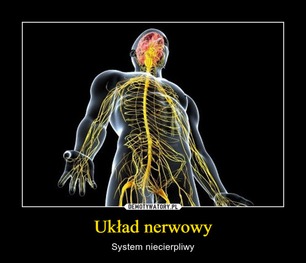 Układ nerwowy – System niecierpliwy 