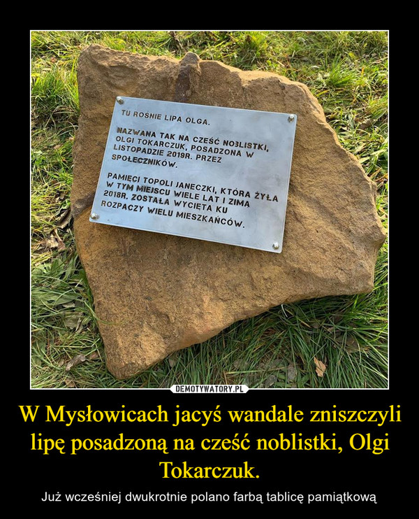 W Mysłowicach jacyś wandale zniszczyli lipę posadzoną na cześć noblistki, Olgi Tokarczuk. – Już wcześniej dwukrotnie polano farbą tablicę pamiątkową 