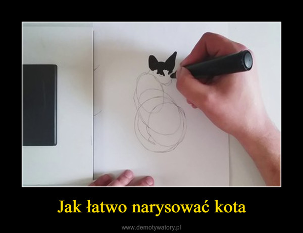 Jak łatwo narysować kota –  