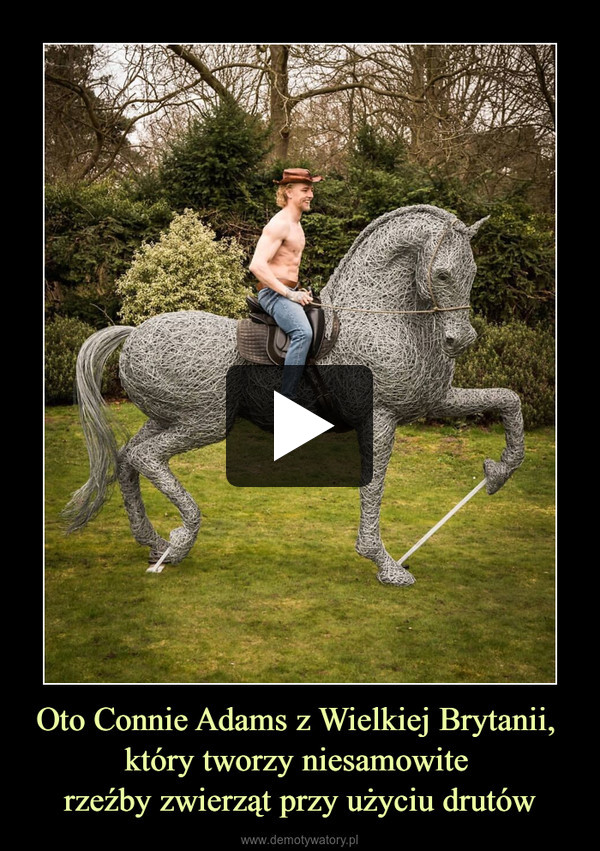 Oto Connie Adams z Wielkiej Brytanii, 
który tworzy niesamowite 
rzeźby zwierząt przy użyciu drutów