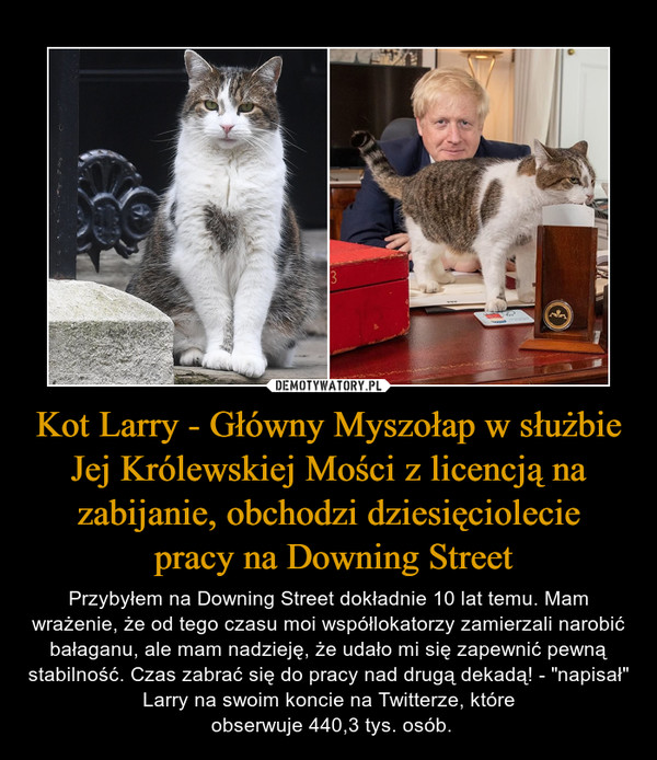 Kot Larry - Główny Myszołap w służbie Jej Królewskiej Mości z licencją na zabijanie, obchodzi dziesięciolecie
 pracy na Downing Street