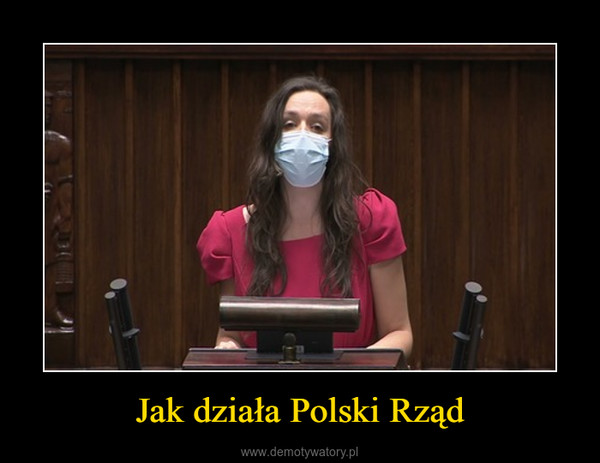 Jak działa Polski Rząd –  