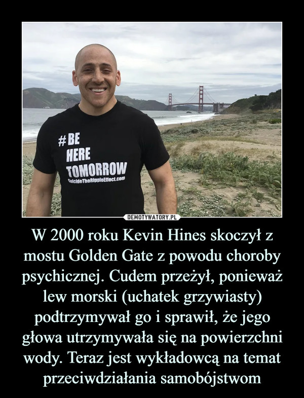 W 2000 roku Kevin Hines skoczył z mostu Golden Gate z powodu choroby psychicznej. Cudem przeżył, ponieważ lew morski (uchatek grzywiasty) podtrzymywał go i sprawił, że jego głowa utrzymywała się na powierzchni wody. Teraz jest wykładowcą na temat przeciwdziałania samobójstwom