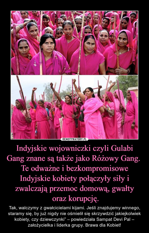 Indyjskie wojowniczki czyli Gulabi Gang znane są także jako Różowy Gang.  Te odważne i bezkompromisowe Indyjskie kobiety połączyły siły i zwalczają przemoc domową, gwałty
 oraz korupcję.