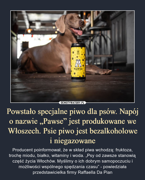 Powstało specjalne piwo dla psów. Napój o nazwie „Pawse” jest produkowane we Włoszech. Psie piwo jest bezalkoholowe i niegazowane – Producent poinformował, że w skład piwa wchodzą: fruktoza, trochę miodu, białko, witaminy i woda. „Psy od zawsze stanowią część życia Włochów. Myślimy o ich dobrym samopoczuciu i możliwości wspólnego spędzania czasu” - powiedziała przedstawicielka firmy Raffaella Da Pian 
