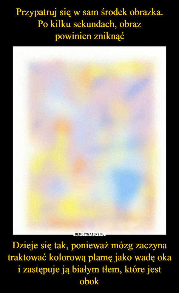 Przypatruj się w sam środek obrazka.
Po kilku sekundach, obraz
powinien zniknąć Dzieje się tak, ponieważ mózg zaczyna traktować kolorową plamę jako wadę oka i zastępuje ją białym tłem, które jest obok