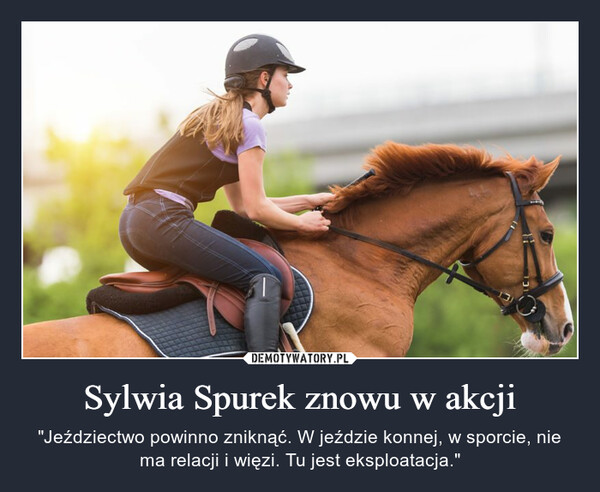 Sylwia Spurek znowu w akcji – "Jeździectwo powinno zniknąć. W jeździe konnej, w sporcie, nie ma relacji i więzi. Tu jest eksploatacja." 