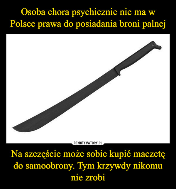 Osoba chora psychicznie nie ma w Polsce prawa do posiadania broni palnej Na szczęście może sobie kupić maczetę do samoobrony. Tym krzywdy nikomu nie zrobi