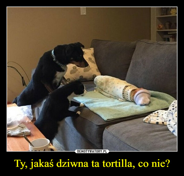 Ty, jakaś dziwna ta tortilla, co nie?