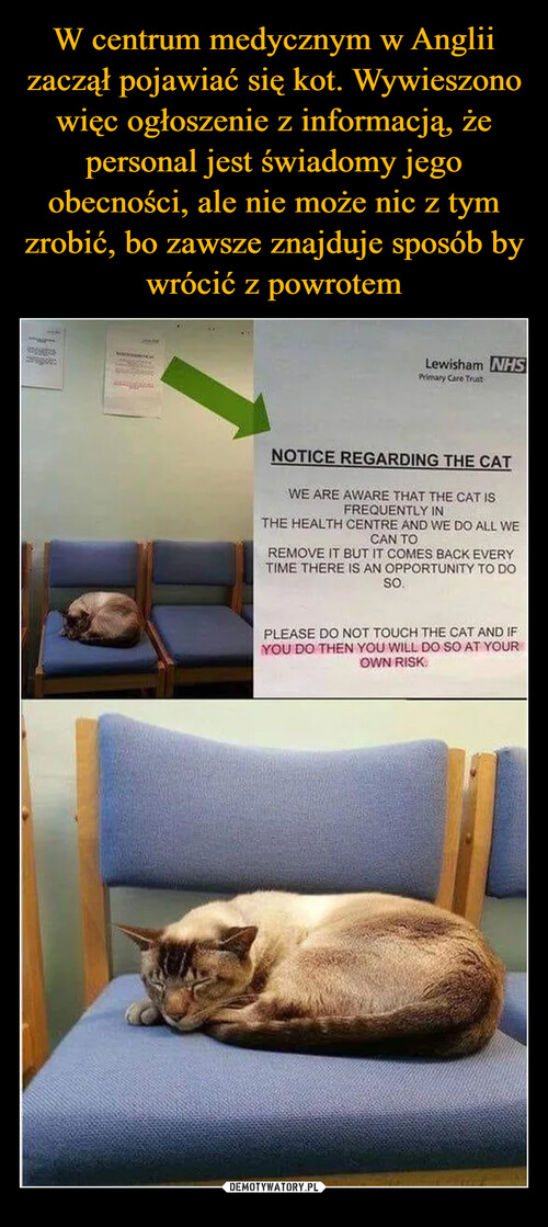 W centrum medycznym w Anglii zaczął pojawiać się kot. Wywieszono więc ogłoszenie z informacją, że personal jest świadomy jego obecności, ale nie może nic z tym zrobić, bo zawsze znajduje sposób by wrócić z powrotem