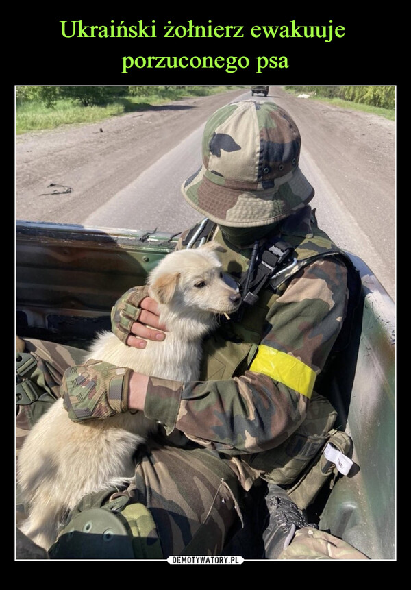 Ukraiński żołnierz ewakuuje 
porzuconego psa
