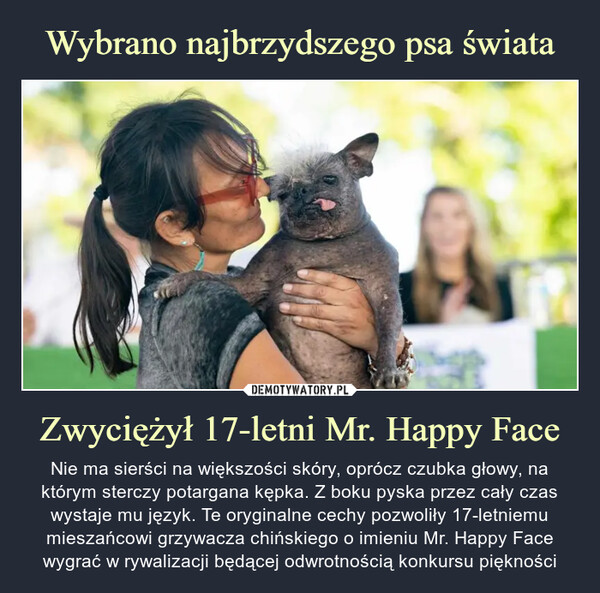 Wybrano najbrzydszego psa świata Zwyciężył 17-letni Mr. Happy Face
