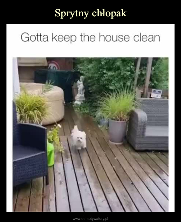  –  Gotta keep the house clean