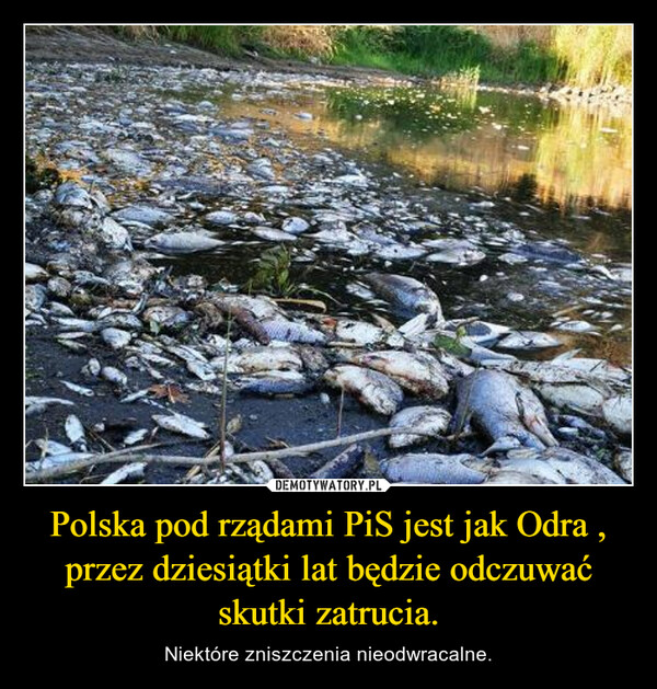 Polska pod rządami PiS jest jak Odra , przez dziesiątki lat będzie odczuwać skutki zatrucia. – Niektóre zniszczenia nieodwracalne. 