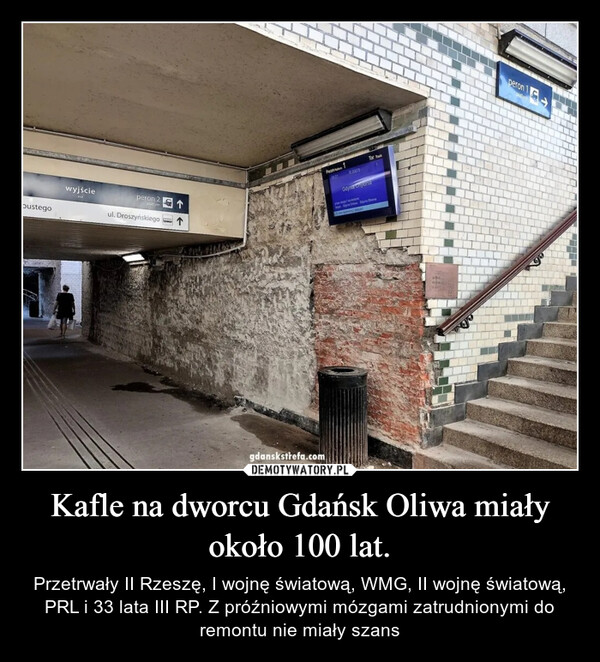 Kafle na dworcu Gdańsk Oliwa miały około 100 lat. – Przetrwały II Rzeszę, I wojnę światową, WMG, II wojnę światową, PRL i 33 lata III RP. Z próźniowymi mózgami zatrudnionymi do remontu nie miały szans 