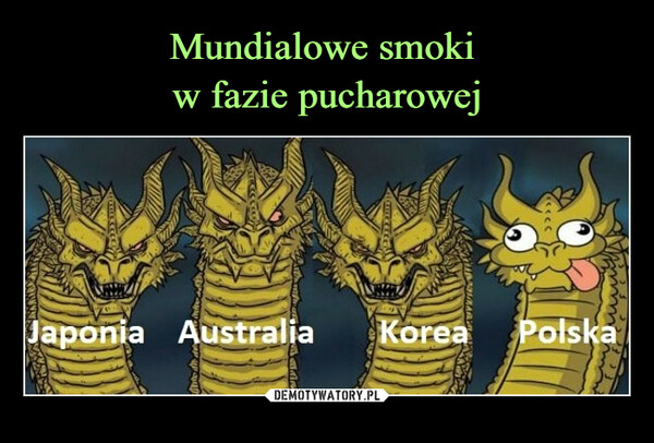  –  japonia australia korea polska
