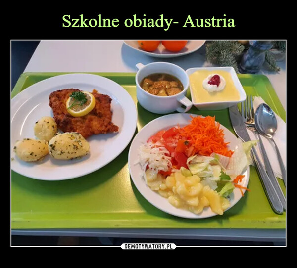 Szkolne obiady- Austria
