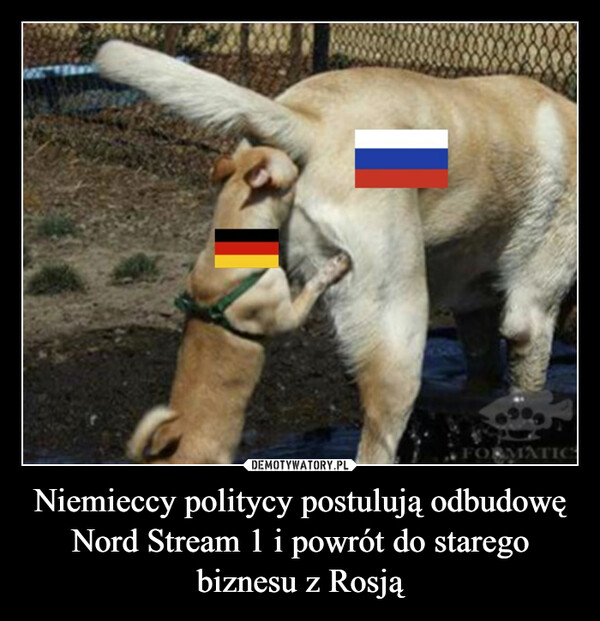 Niemieccy politycy postulują odbudowę Nord Stream 1 i powrót do starego biznesu z Rosją –  